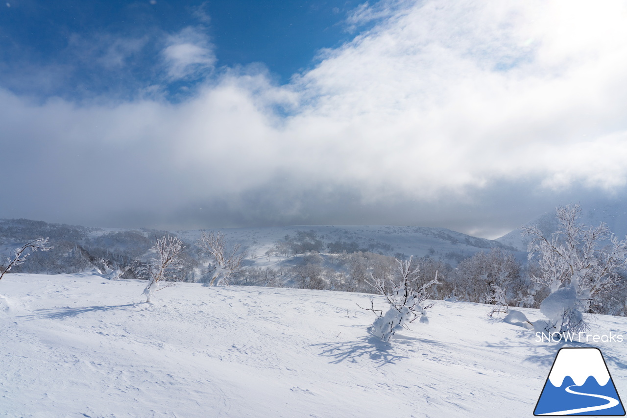 キロロリゾート｜真っ白な雪と真っ青な空。粉雪ゲレンデクルージングが気持ち良いキロロ。この週末は『Sweet Protection 試着会』も開催中！